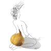 PenaSim - Poire_Femme 2024-02 Belle hélène
