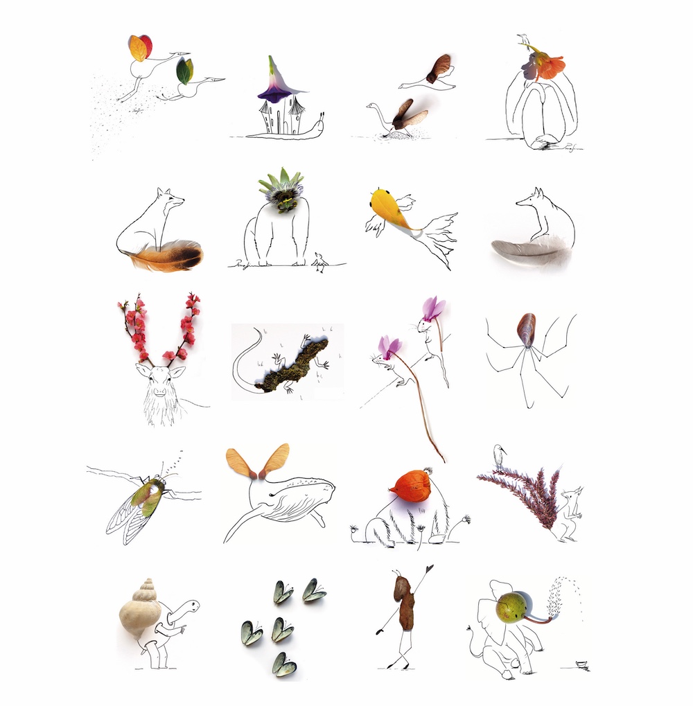 icosa animal Bestiaire