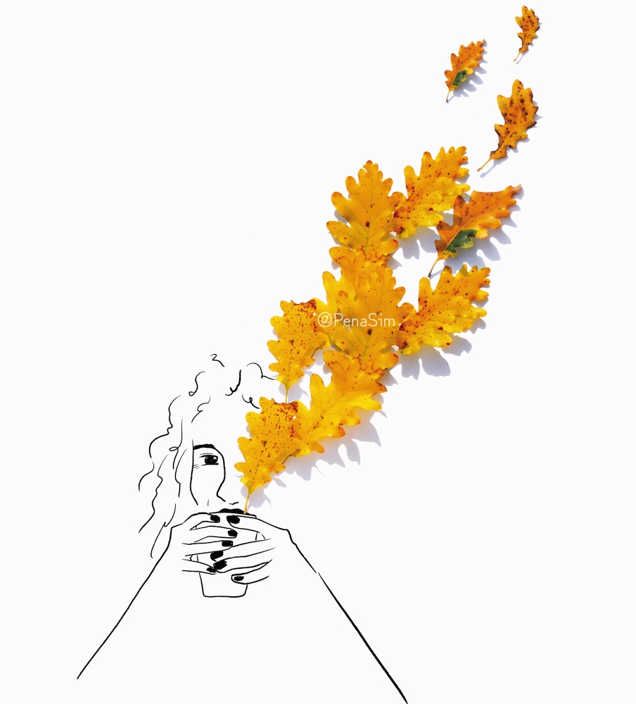 A4 Thé cassandre 2 2026-02 Décompresser